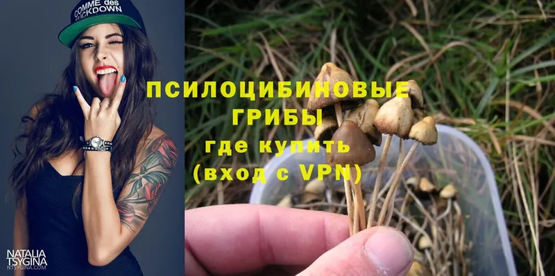 закладка  Агидель  Галлюциногенные грибы Magic Shrooms 